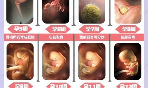 自制补水精华孕妇能用吗-孕妇可以用的精华、自制补水精华孕妇能用吗 -自制补水精华孕妇网
